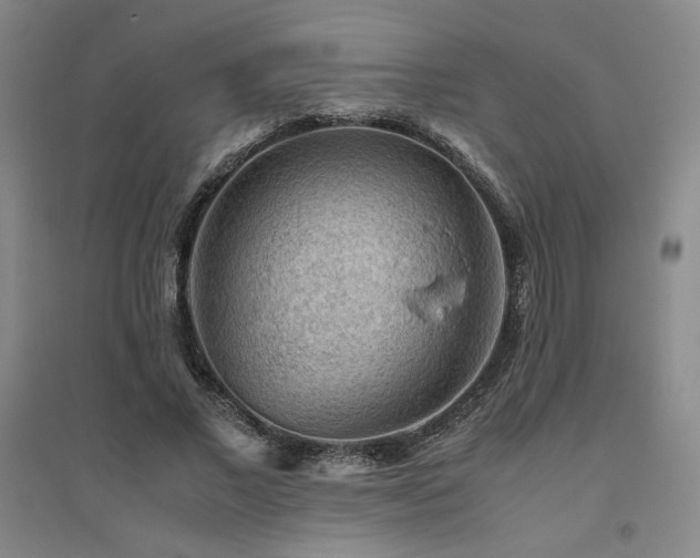 X0000094800685200711161458
