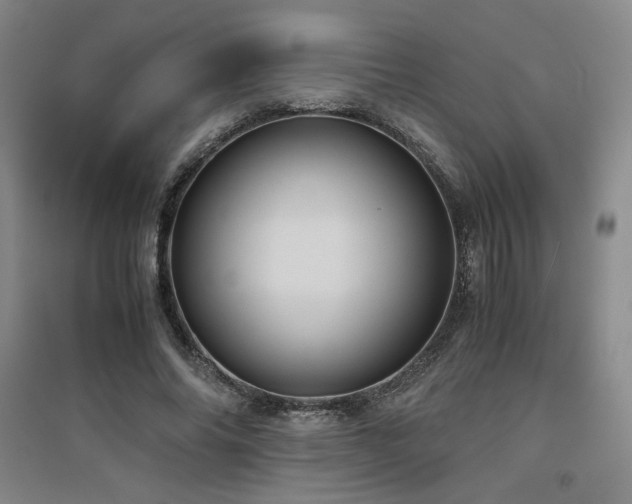 X0000094800686200711161458