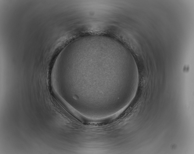 X0000094800689200711161458