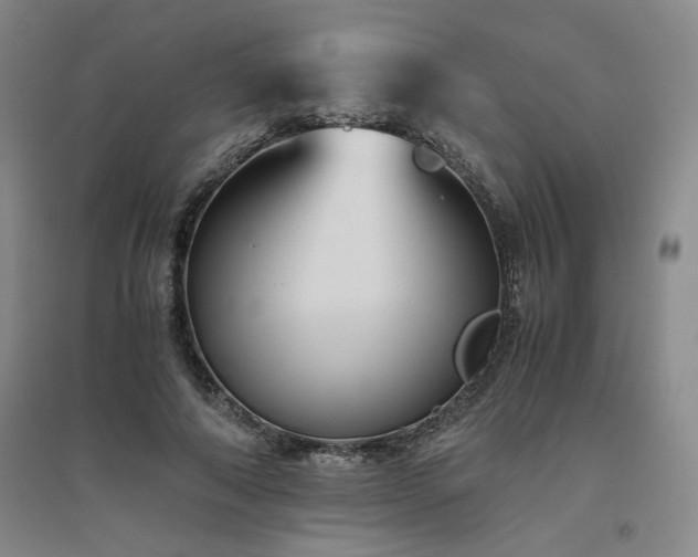 X0000094800690200711161458