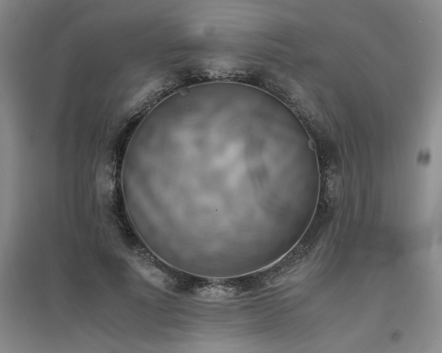 X0000094800691200711161458