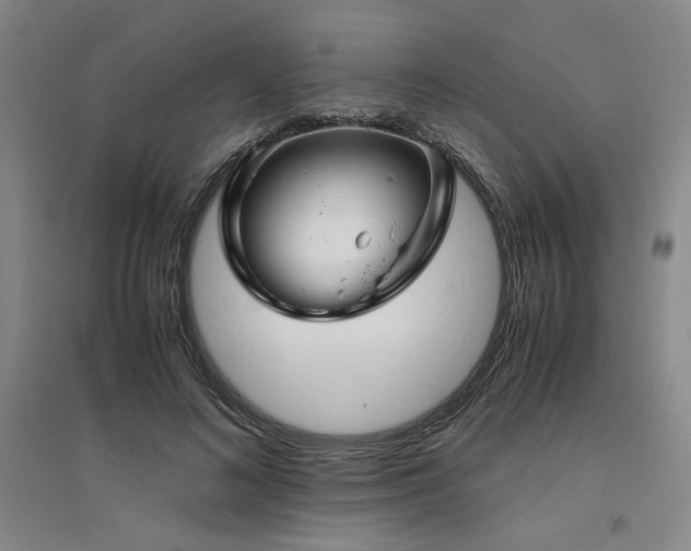 X0000094800692200711161458