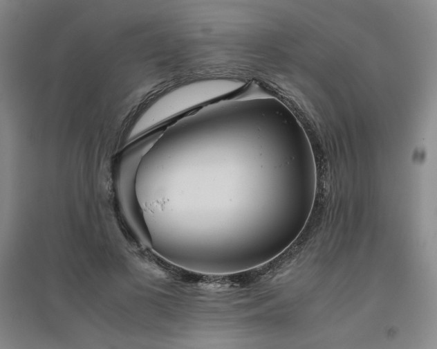 X0000094800693200711161458