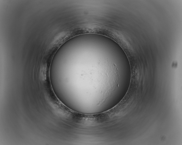 X0000094800694200711161458