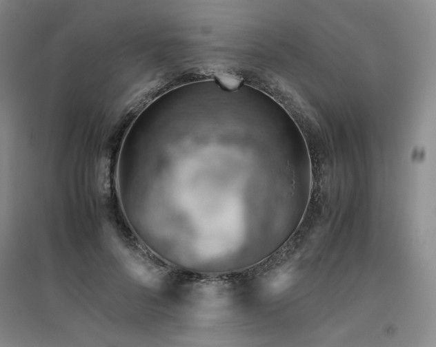 X0000094800696200711161458