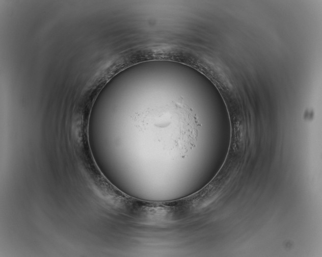 X0000094800698200711161458