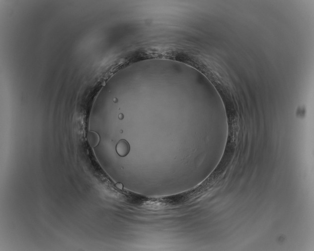X0000094800699200711161458