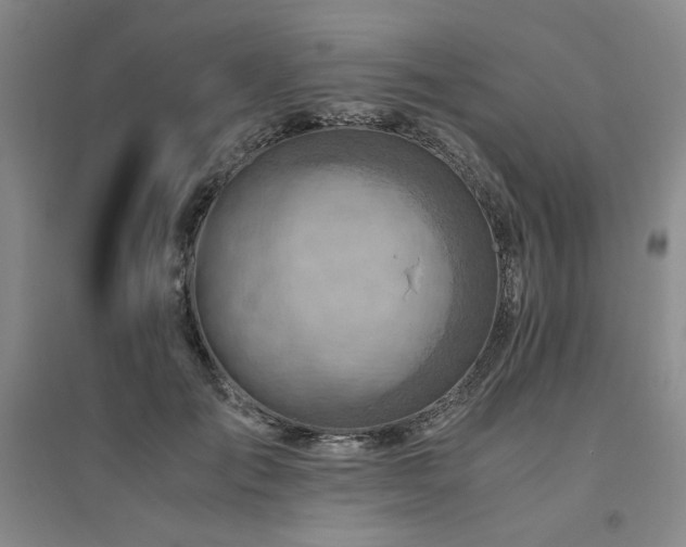 X0000094800701200711161458