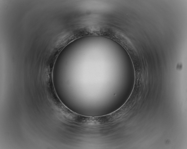 X0000094800702200711161458