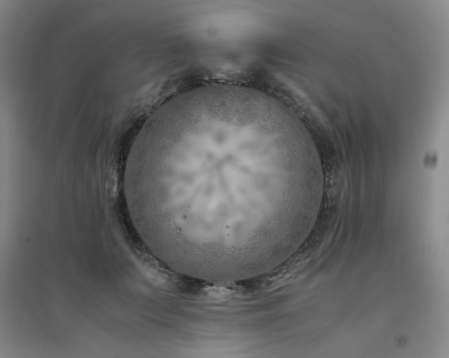 X0000094800703200711161458