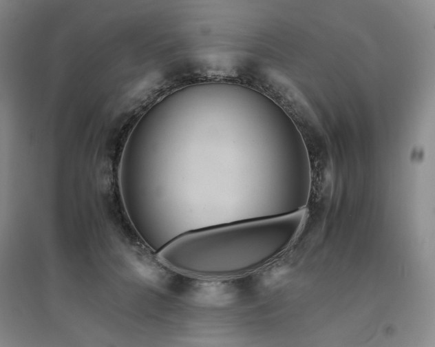 X0000094800704200711161458