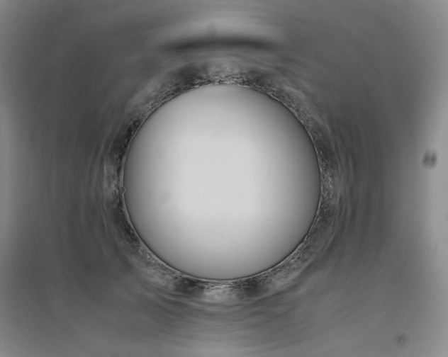 X0000094800705200711161458