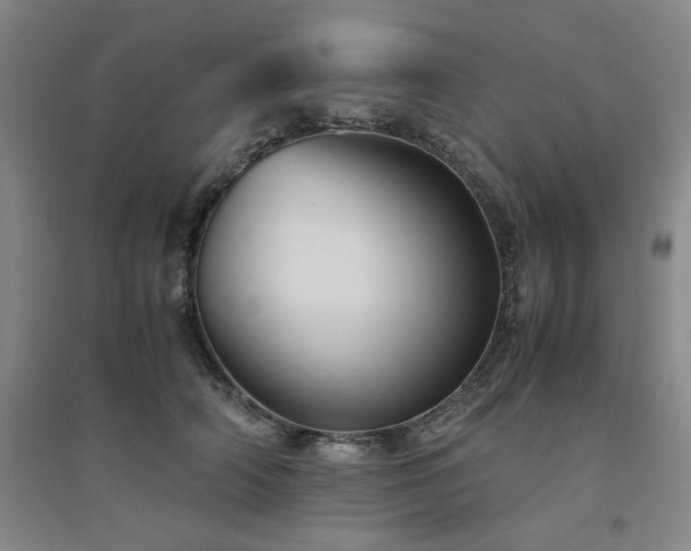 X0000094800706200711161458
