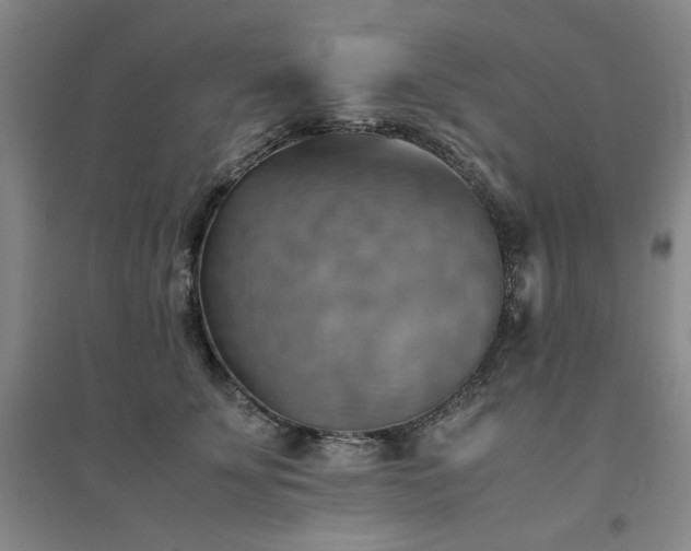 X0000094800707200711161458
