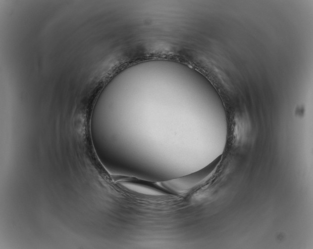 X0000094800708200711161458