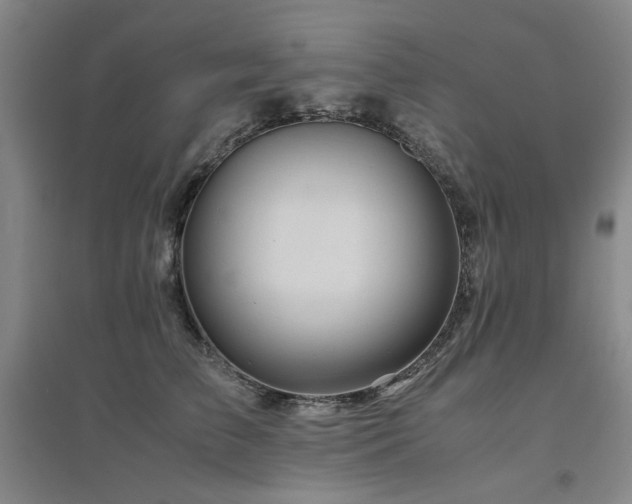 X0000094800709200711161458
