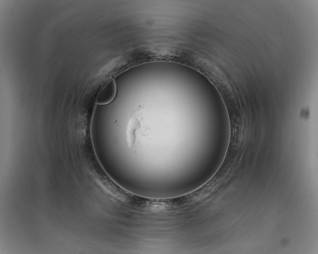 X0000094800710200711161458