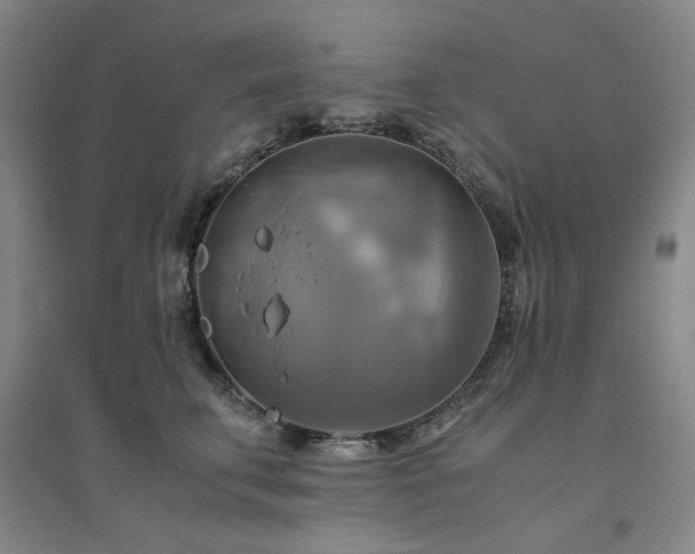X0000094800711200711161458