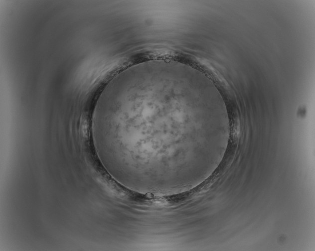 X0000094800715200711161458