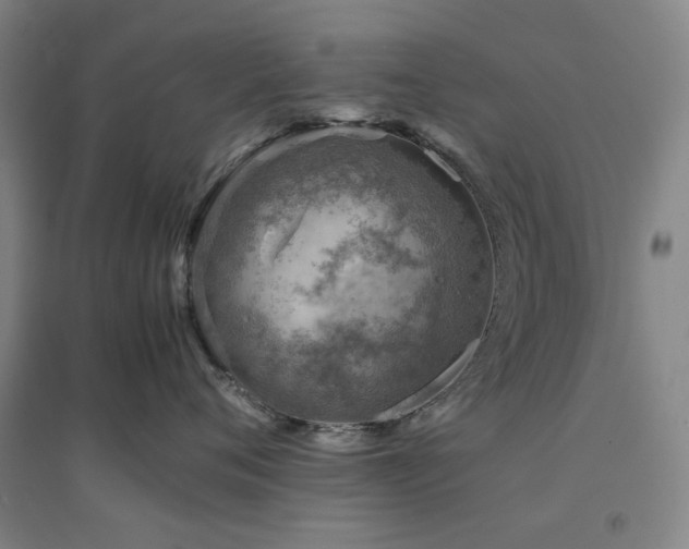X0000094800720200711161458
