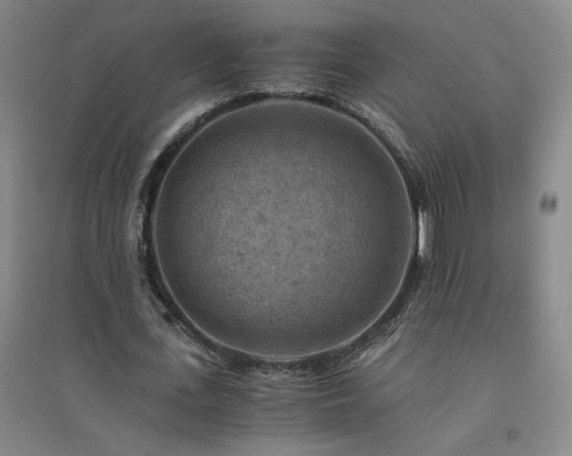 X0000094800723200711161457