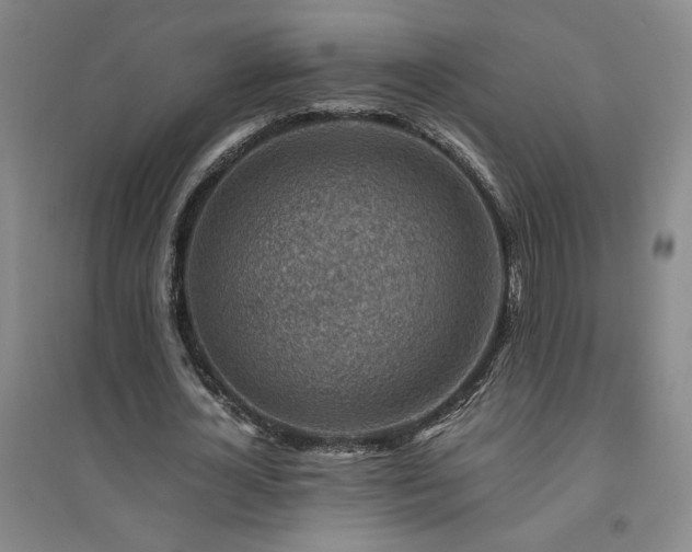 X0000094800724200711161457