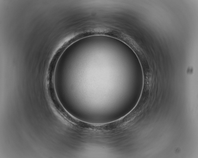 X0000094800726200711161457
