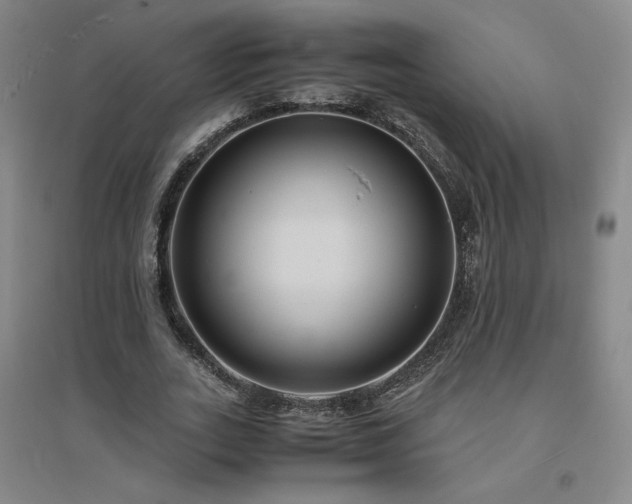 X0000094800727200711161457