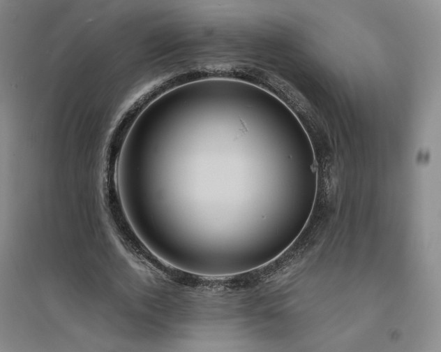 X0000094800728200711161457