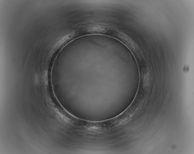 X0000094800729200711161457