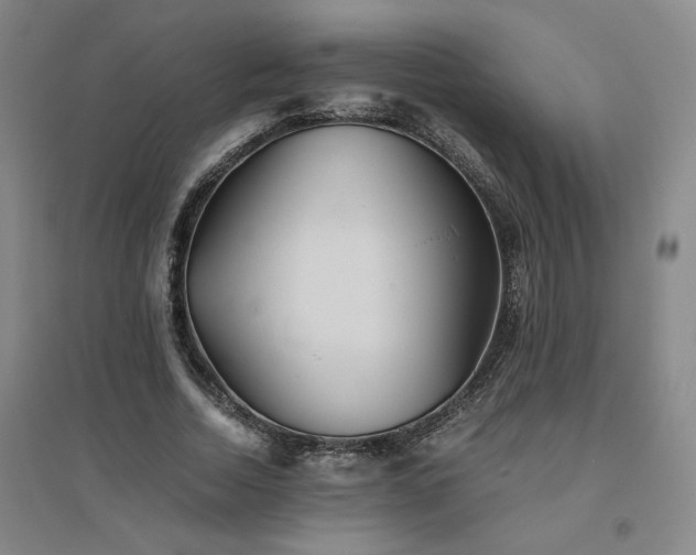 X0000094800730200711161457