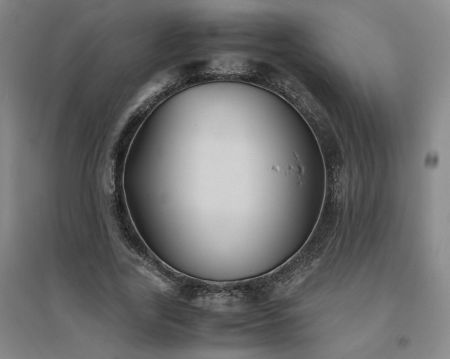 X0000094800731200711161457