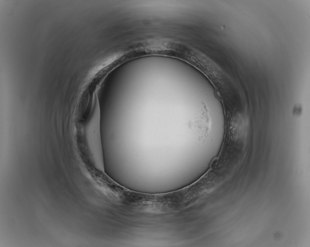 X0000094800732200711161457