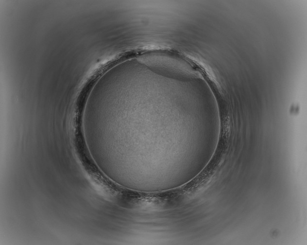 X0000094800736200711161457