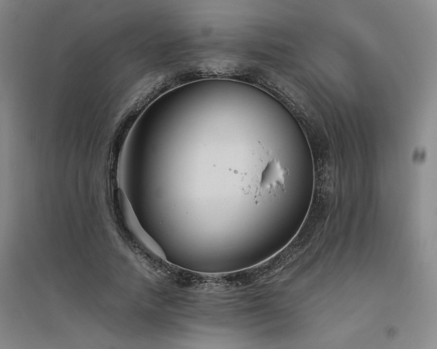 X0000094800738200711161457