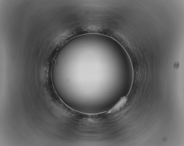 X0000094800739200711161457