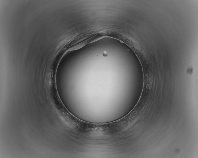X0000094800740200711161457