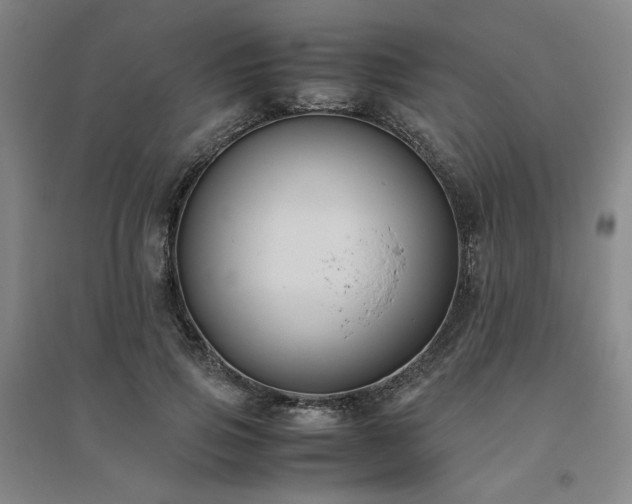 X0000094800741200711161457