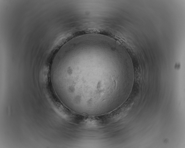 X0000094800742200711161457