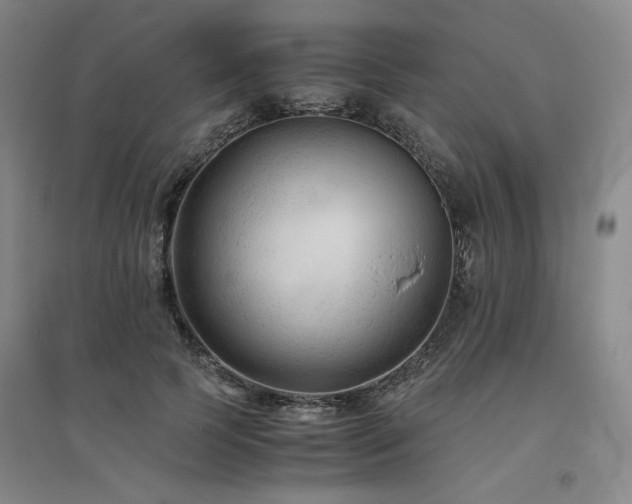 X0000094800745200711161457