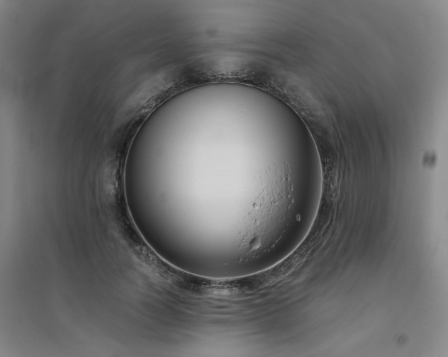 X0000094800746200711161457