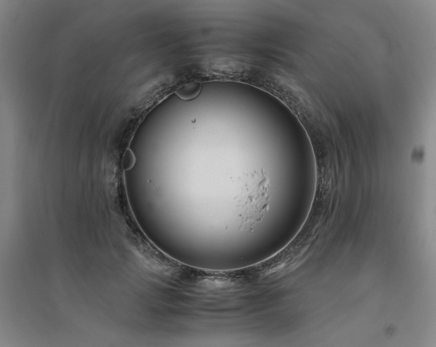 X0000094800749200711161458