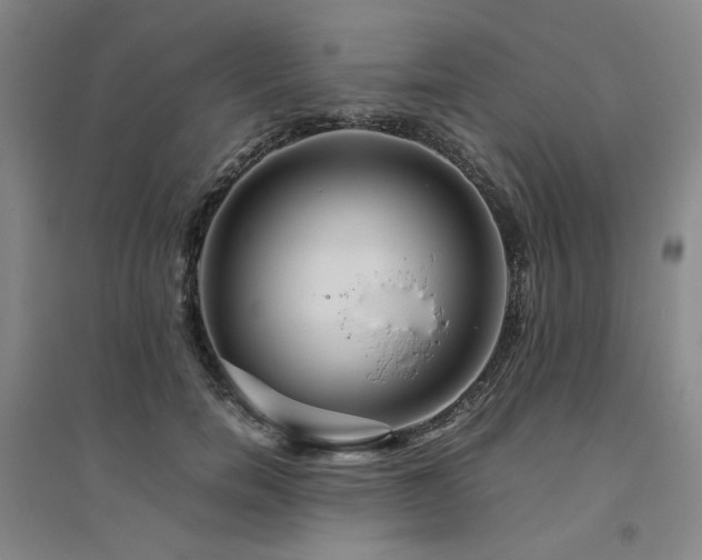 X0000094800750200711161458