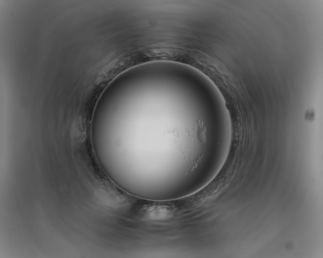 X0000094800751200711161458