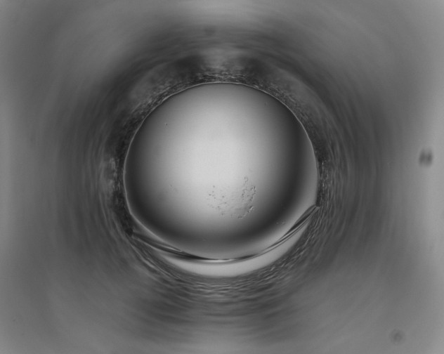X0000094800752200711161458