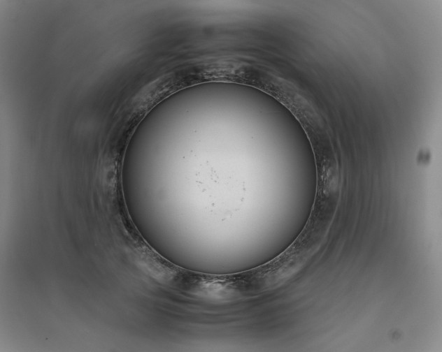 X0000094800753200711161458