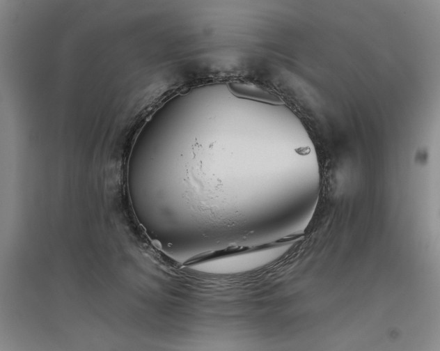 X0000094800756200711161458