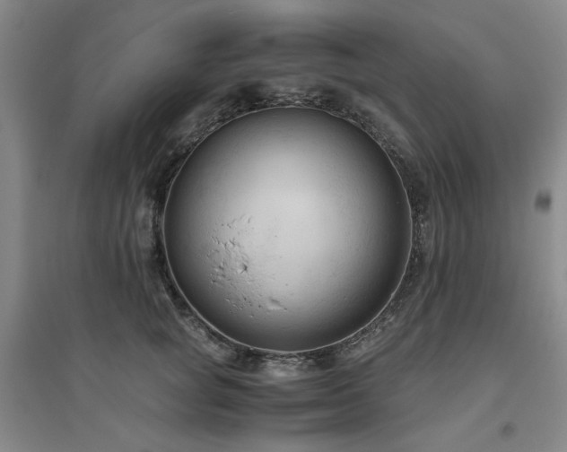 X0000094800757200711161458