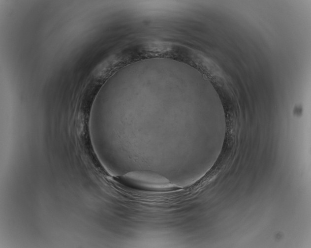 X0000094800758200711161458