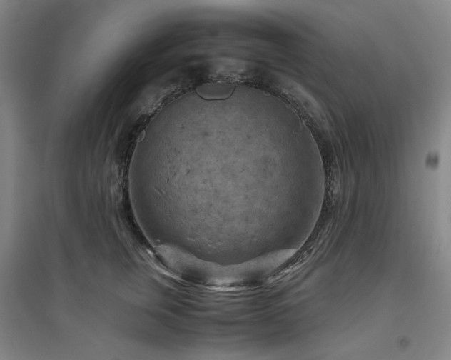 X0000094800759200711161458